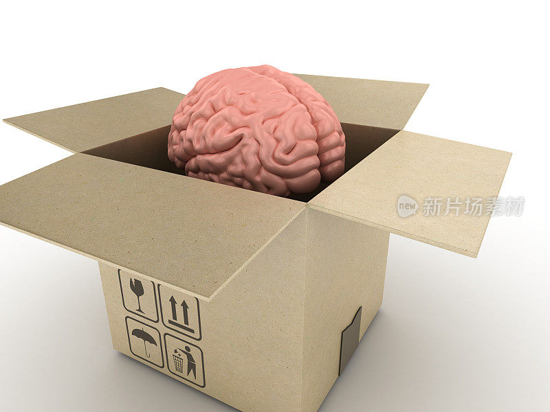 打开的Card Board Box与人脑- 3D渲染